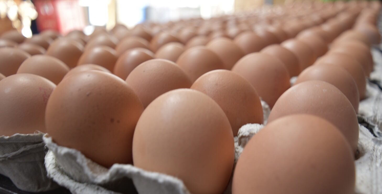 Eggs